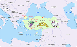 ユーラシア料理